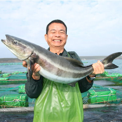 為人、做事、生活有品之『有品和懿獎』（文章圖片）