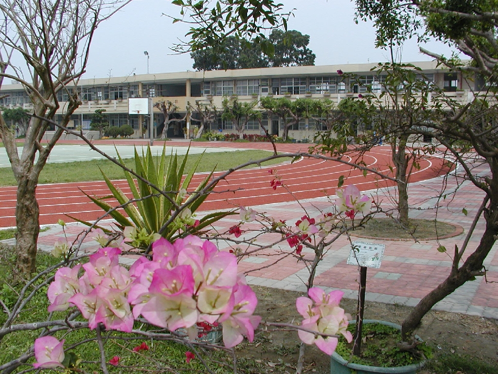 三香飄送創佳績  祥獅獻瑞--光正為最   田徑隊名揚全國-締造傳奇（文章圖片）