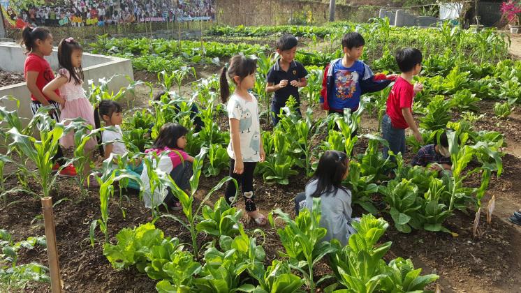 勤耕園　喜豐收（文章圖片）