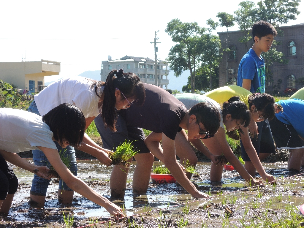 臺中市校園食農教育總體計畫－－給學生健康的人生（文章圖片）