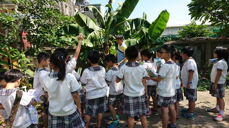 花現學習樂園（文章圖片）