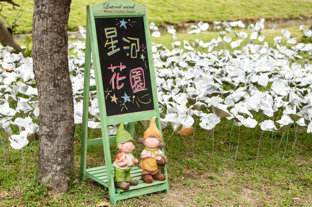 龍山五十  花開滿園（文章圖片）