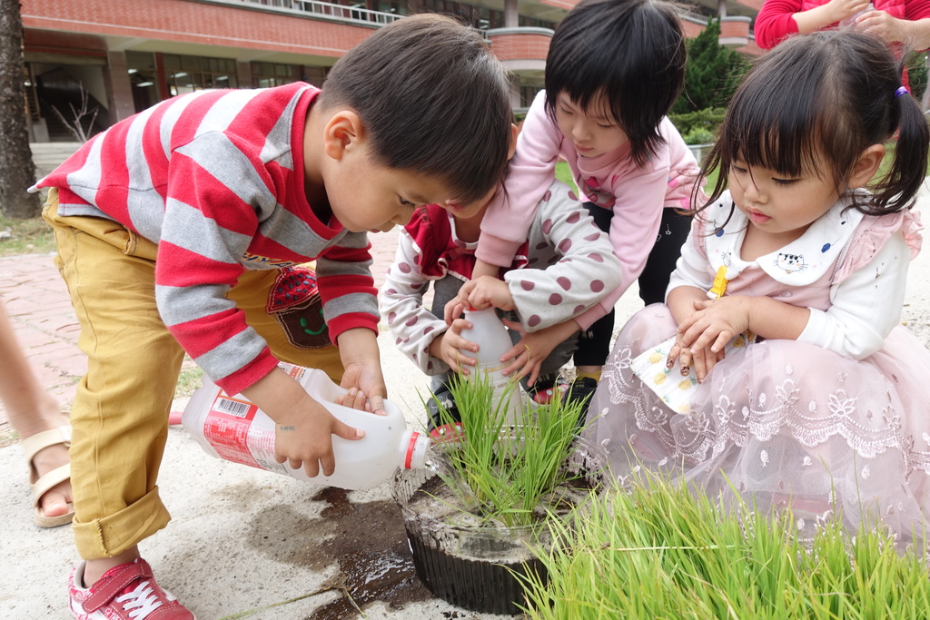 中市首創E化學前補助申辦教學（文章圖片）