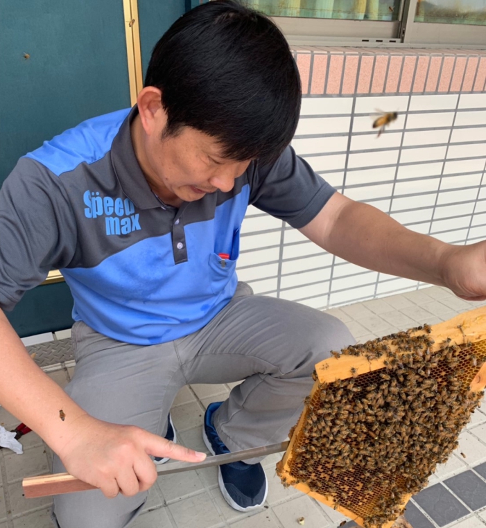 上楓專業的養蜂（圖片4）