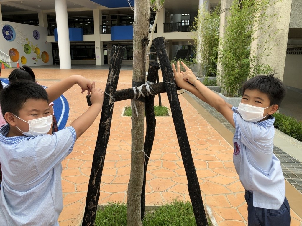 小朋友開心地發現校園樹木的支撐架看起來像字母「H」（圖片5）