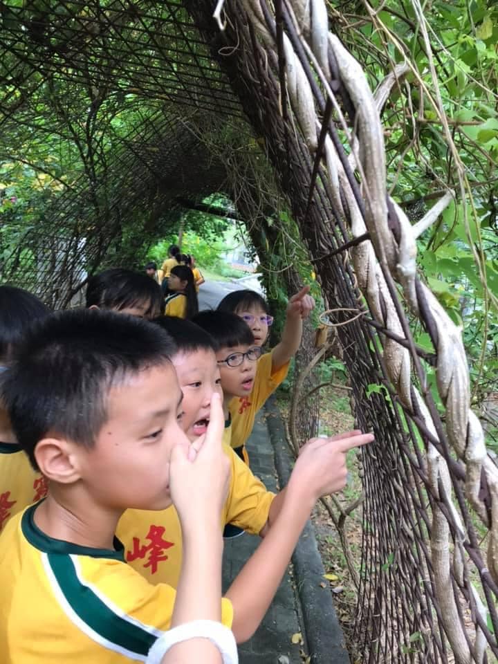 營造「生物多樣性」校園空間（文章圖片）