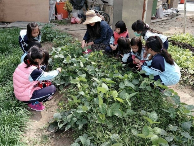 老師帶領學生觀察蔬菜生長情形