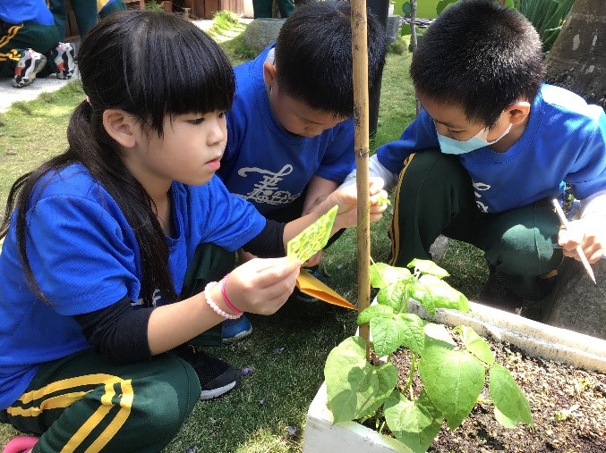 孩子們細心觀察、記錄植物的成長