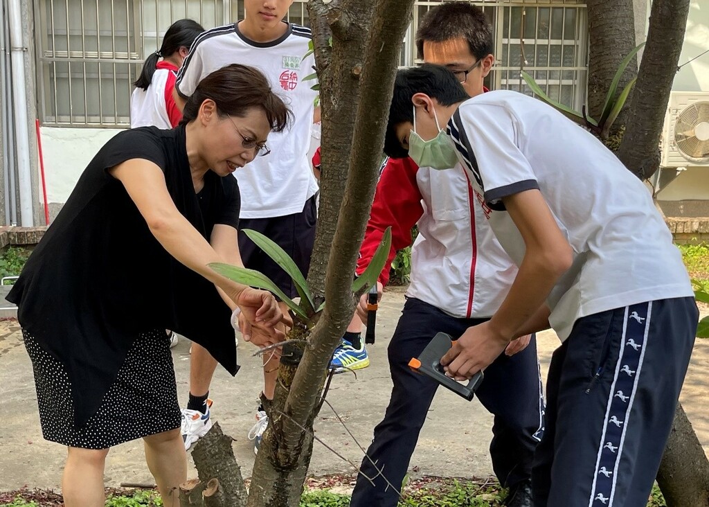 金蘭老師指導學生將蘭花種植樹上之實作