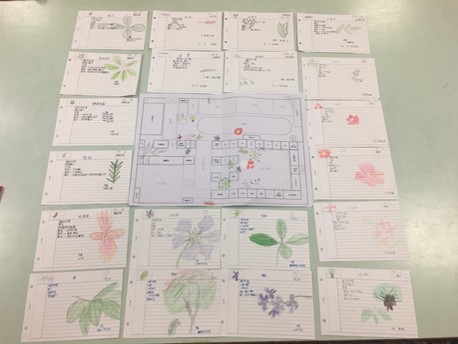 「校園植物辨識」學生學習單（一）（圖片1）