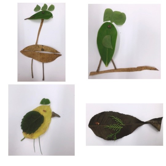 學生利用不同植物的葉子組合出各種造型