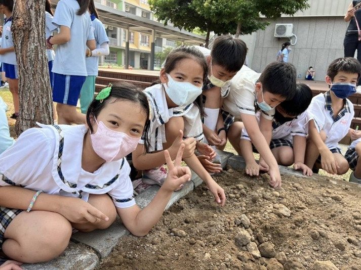 新光開心農場（文章圖片）