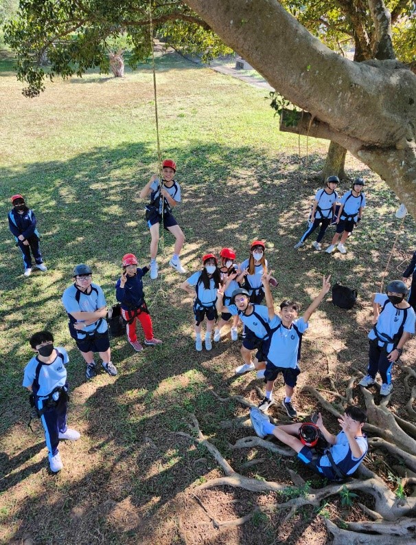 學生從樹上俯瞰的視角（圖片4）