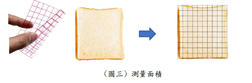 美食數學MIT（Math In Toast）輕鬆學周長與面積（圖片5）