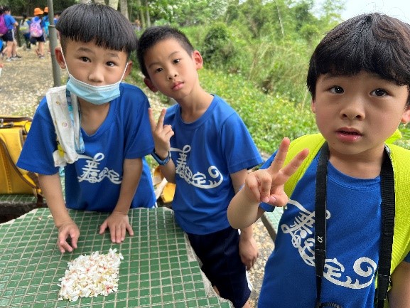 學生收集桐花當作排成不同形狀的材料（圖片3）