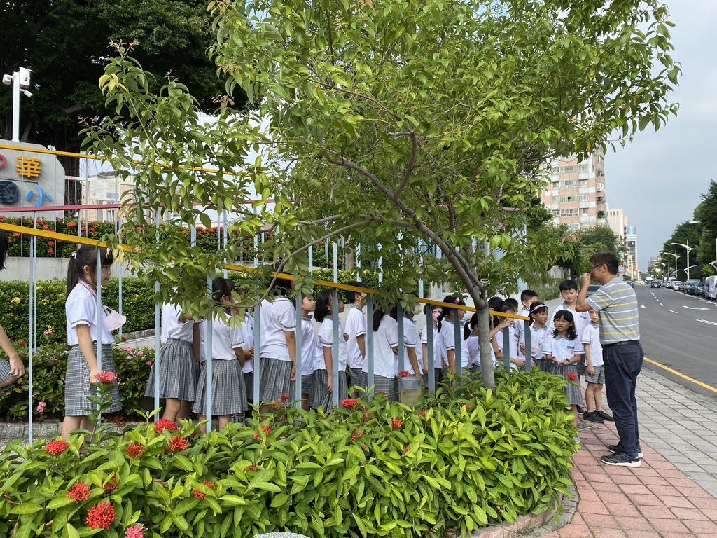 帶領學童進行綠美化環境教育（圖片1）