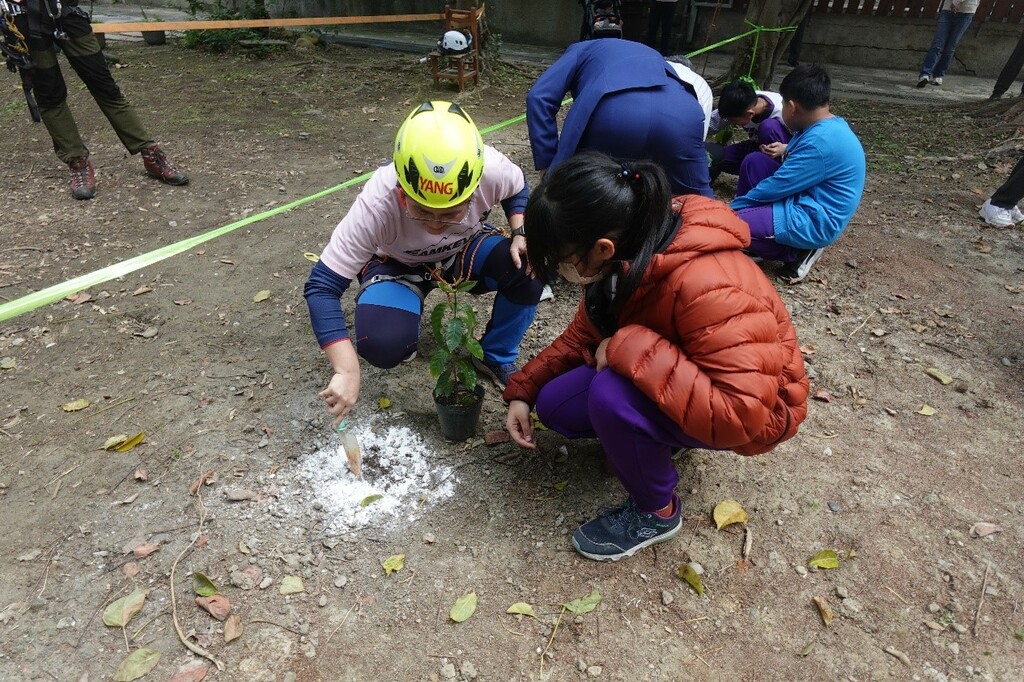 淨零綠校園　槺榔齊心種樹護地球（文章圖片）