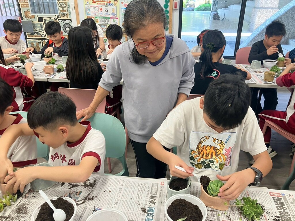 多肉植物種植（圖片3）