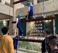 學生挑戰巨人之梯（圖片2）
