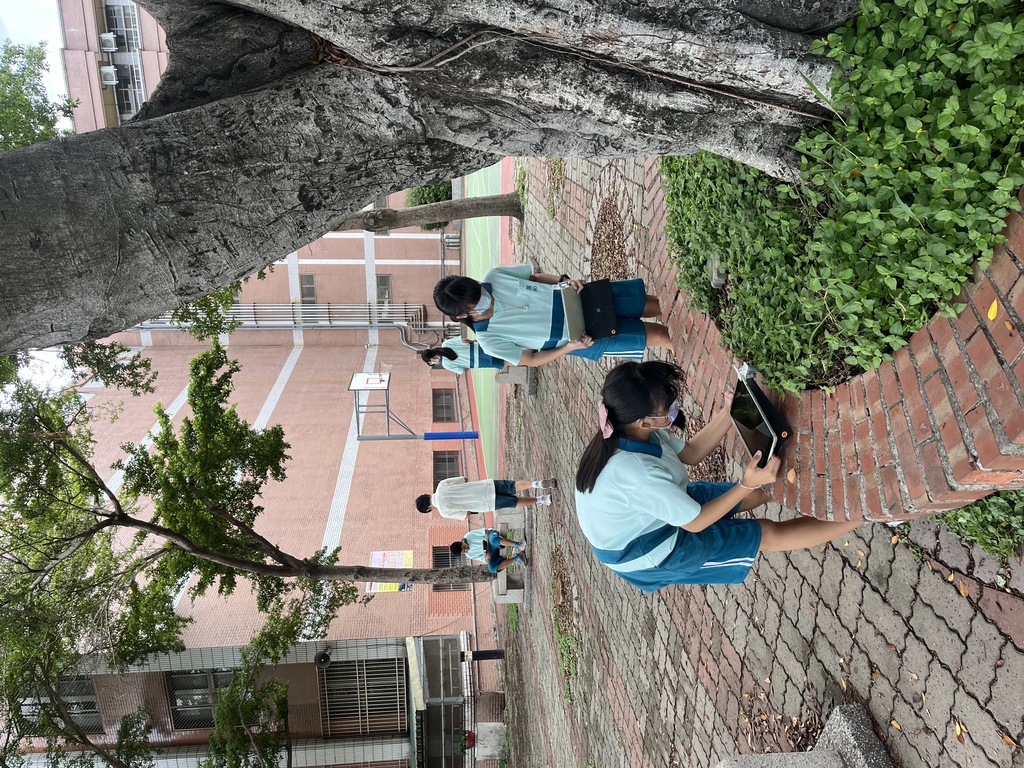 搭配手機顯微鏡讓學生進行微觀攝影