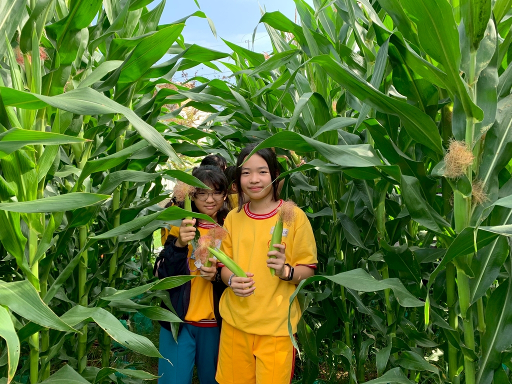 將永續環保的種子埋進孩子心底（圖片5）
