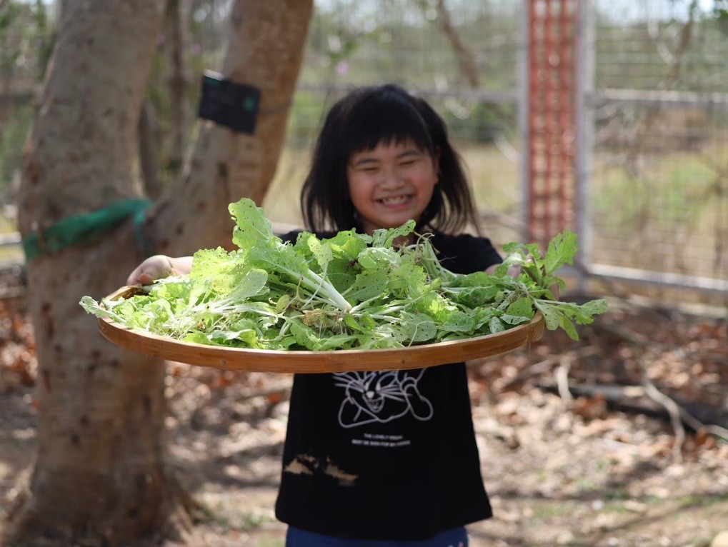 小朋友親手採摘自己種植的蔬菜(圖片1)