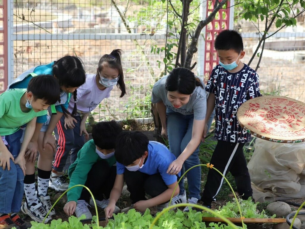 小朋友共同觀察植物並發現問題(圖片2)