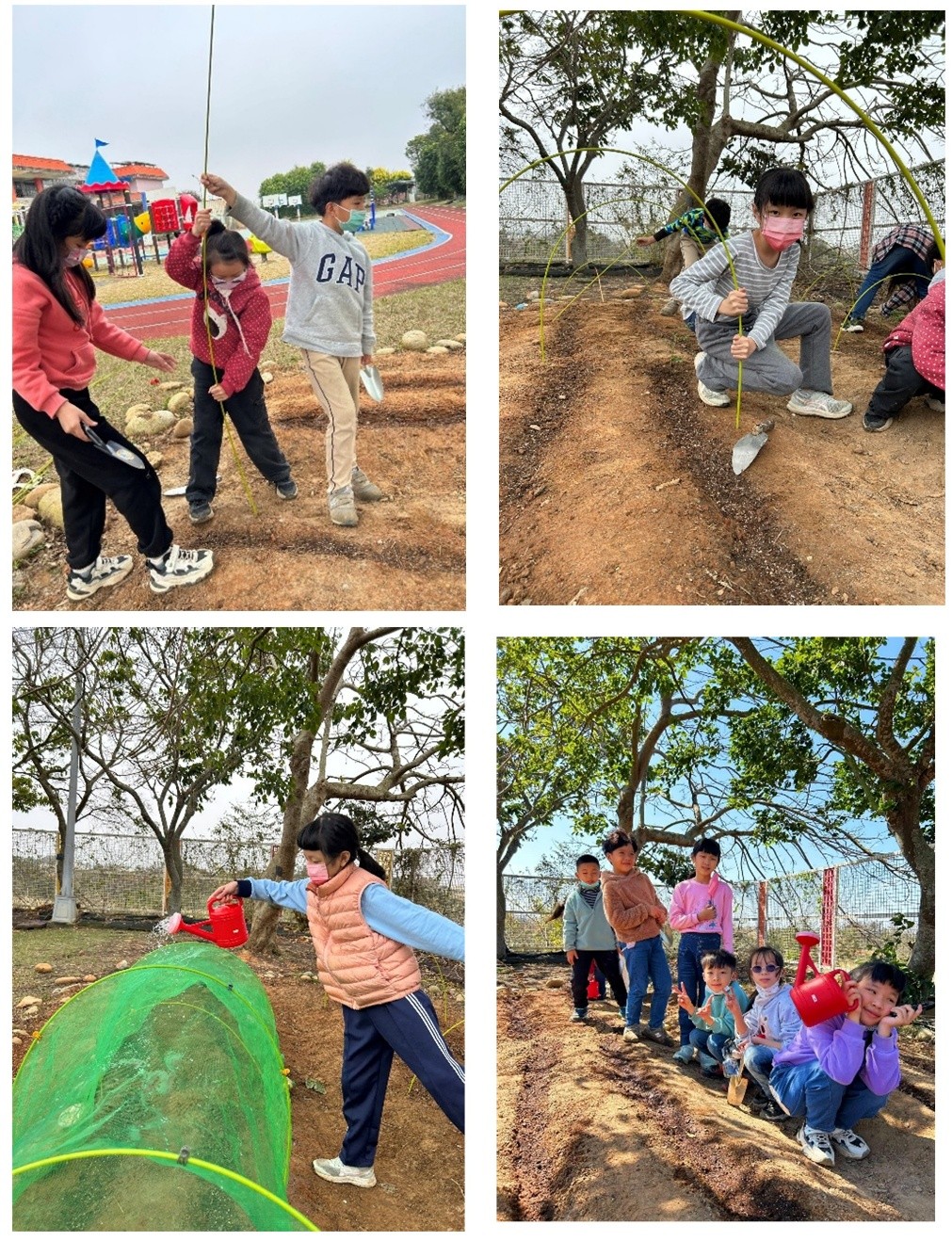 小朋友共同翻土整地、澆水、搭設棚架和解決問題(圖片3)