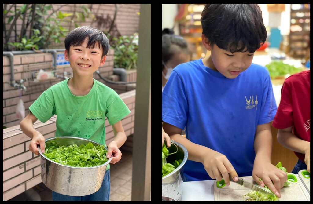小朋友親手烹調自己種植的蔬菜(圖片4)