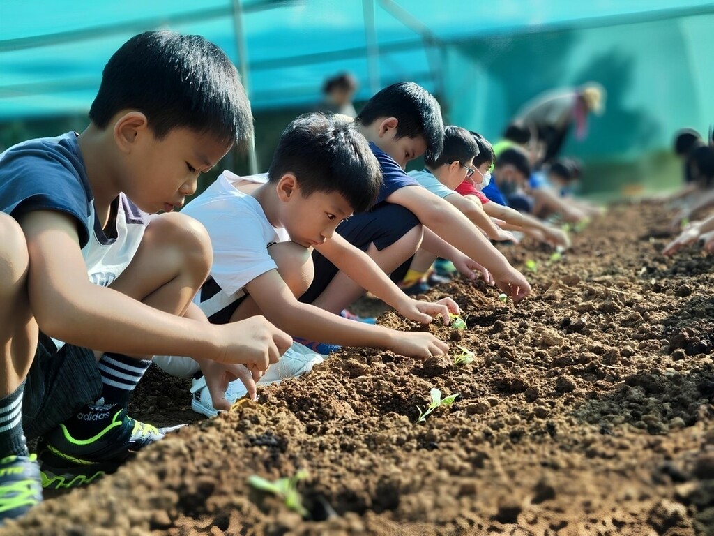 瑞井學子在實作中傳承永續精神（圖片3）