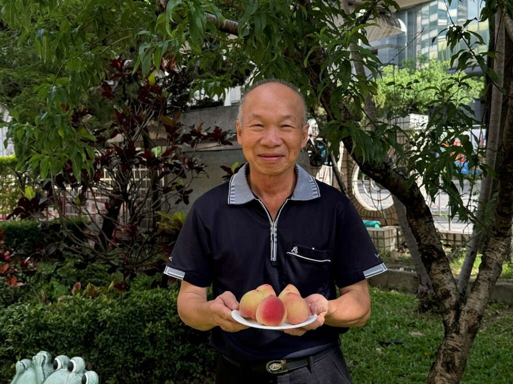 賴福勝先生在校園悉心照顧植物，種出香甜的水蜜桃。（圖片3）