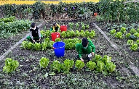 體驗農事ING（圖片3）