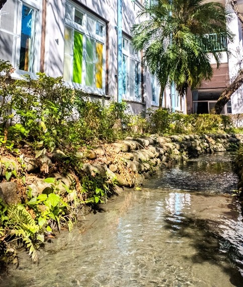八寶圳潺流綠意，打造校園生態風景。（圖片2）