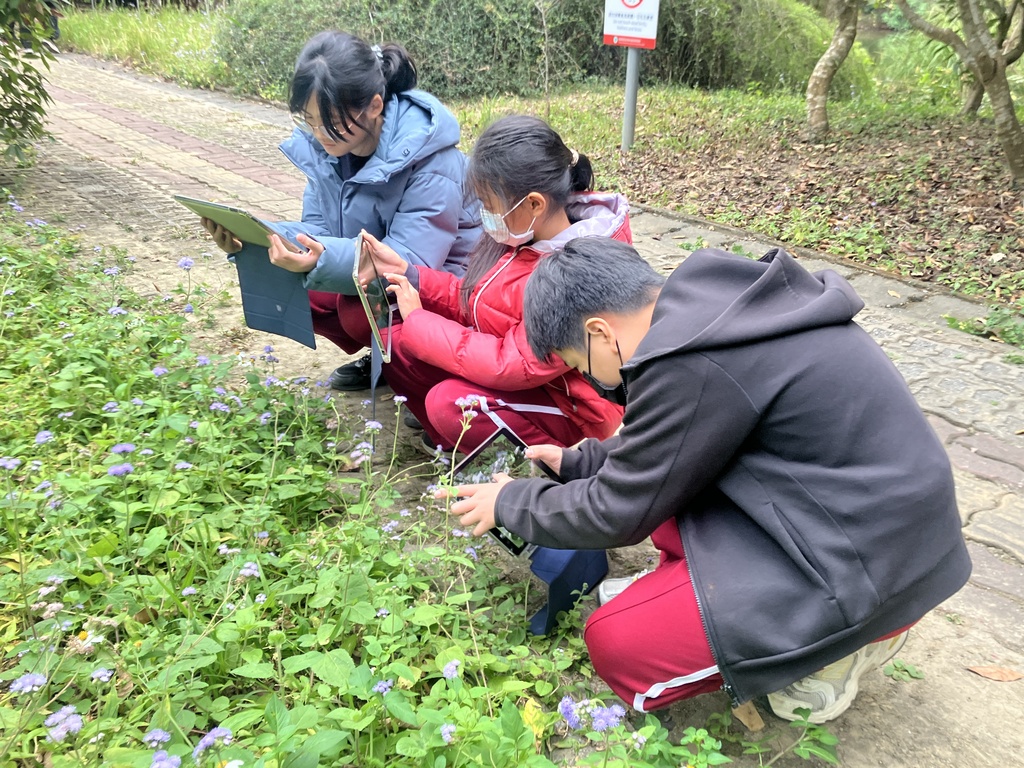 學生運用iNaturalist平台,進行植物觀察與紀錄,提升學習效果。(圖片7)