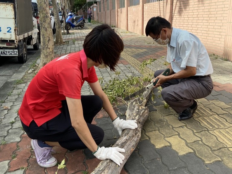 胡校長定期檢視校園樹木,指導職工,一起讓校園看起來乾淨舒適。(圖片1)