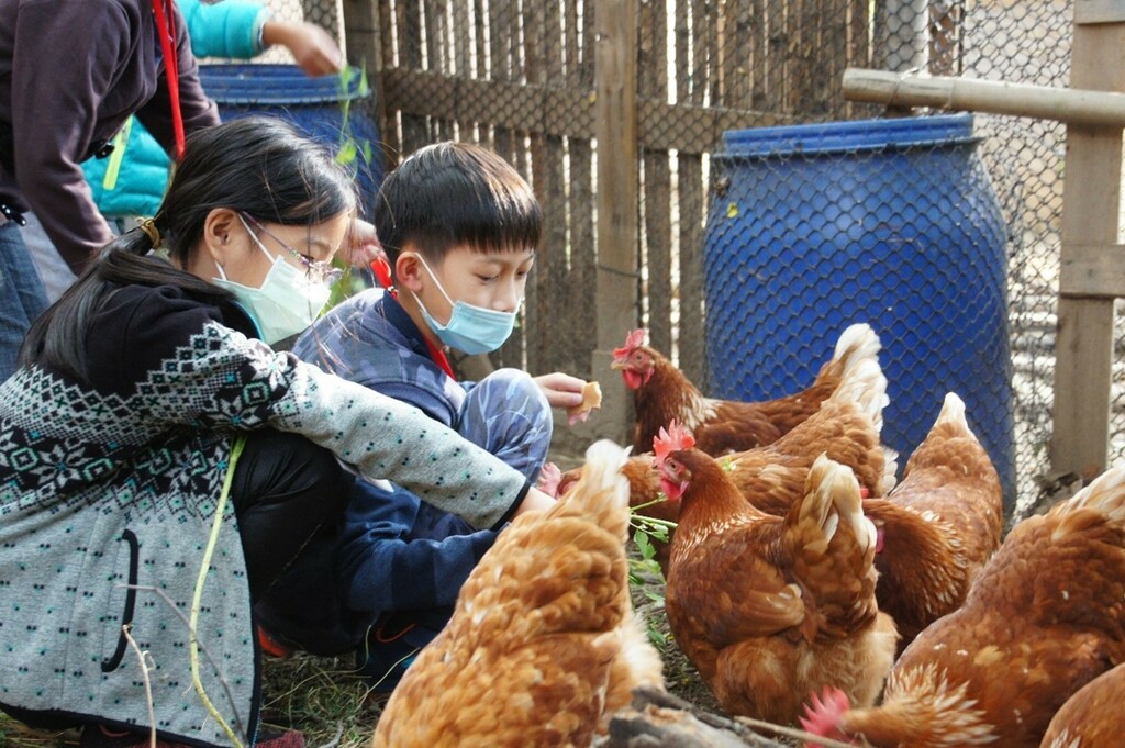 跟著自然節氣照顧孩子－－校園裡的綠色照顧（文章圖片）