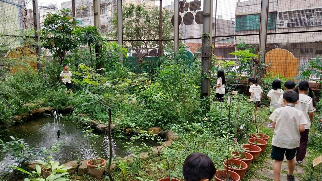 參觀蝴蝶園（圖片3）