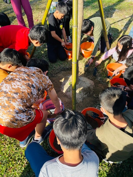 學生化身小園丁學種樹（圖片2）