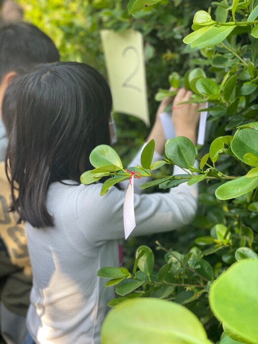 學生在親手栽植的綠籬上掛上祈福卡（圖片3）
