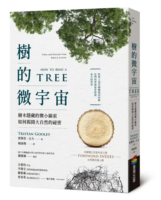 《樹的微宇宙》（文章圖片）