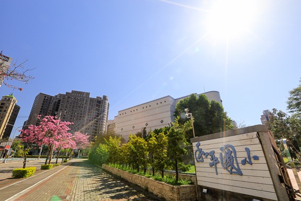 城市中的森林小學-圖片2