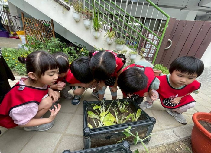 孩子發現菜葉被蟲吃了